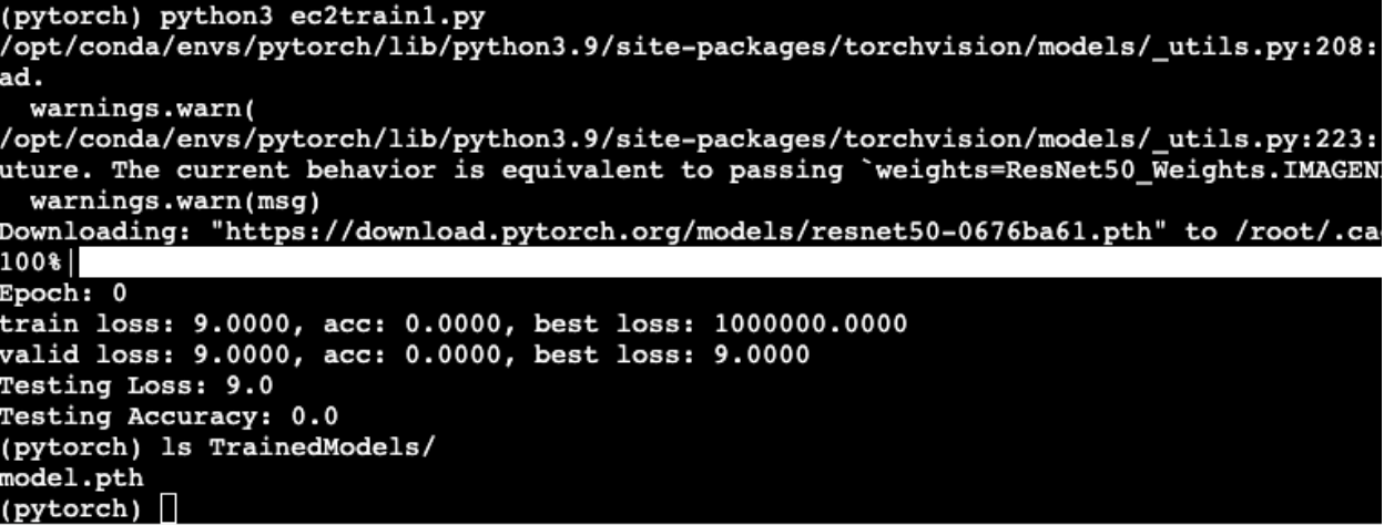 Training and saving on EC2